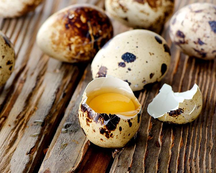 Полезные перепелиные яйца