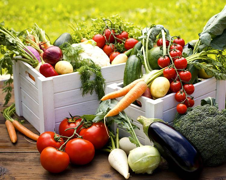 Правильное хранение овощей